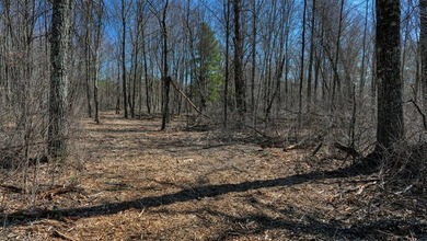 This 175+/- acres outside New Lisbon in Juneau County offers a - photo 38