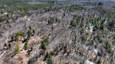 This 175+/- acres outside New Lisbon in Juneau County offers a - photo 39