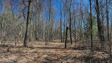 This 175+/- acres outside New Lisbon in Juneau County offers a - photo 40