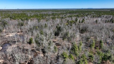 This 175+/- acres outside New Lisbon in Juneau County offers a - photo 41
