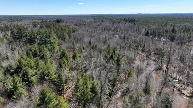 This 175+/- acres outside New Lisbon in Juneau County offers a - photo 42