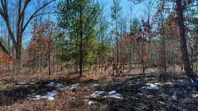 This 175+/- acres outside New Lisbon in Juneau County offers a - photo 43