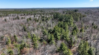 This 175+/- acres outside New Lisbon in Juneau County offers a - photo 44