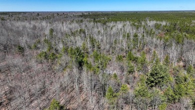 This 175+/- acres outside New Lisbon in Juneau County offers a - photo 45