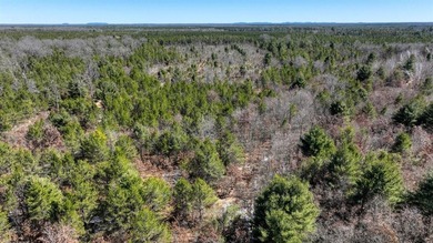 This 175+/- acres outside New Lisbon in Juneau County offers a - photo 46
