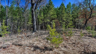 This 175+/- acres outside New Lisbon in Juneau County offers a - photo 47