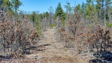This 175+/- acres outside New Lisbon in Juneau County offers a - photo 49
