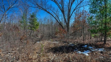 This 175+/- acres outside New Lisbon in Juneau County offers a - photo 50