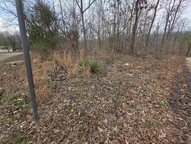 6 beautiful lots all right next to each other. 5 are on Summit - photo 11