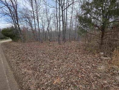 6 beautiful lots all right next to each other. 5 are on Summit - photo 13