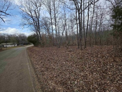 6 beautiful lots all right next to each other. 5 are on Summit - photo 14