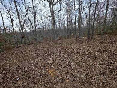 6 beautiful lots all right next to each other. 5 are on Summit - photo 15
