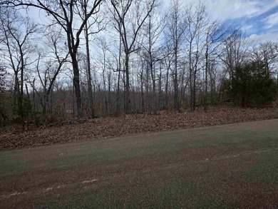 6 beautiful lots all right next to each other. 5 are on Summit - photo 16