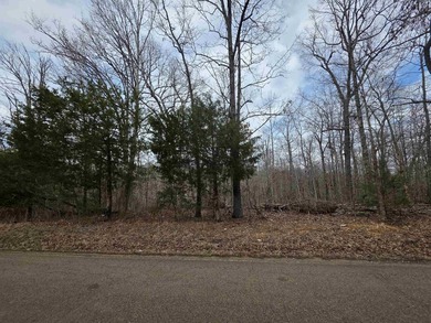 6 beautiful lots all right next to each other. 5 are on Summit - photo 17