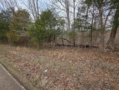 6 beautiful lots all right next to each other. 5 are on Summit - photo 18