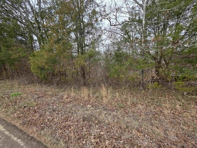 6 beautiful lots all right next to each other. 5 are on Summit - photo 19