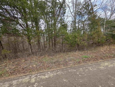 6 beautiful lots all right next to each other. 5 are on Summit - photo 20