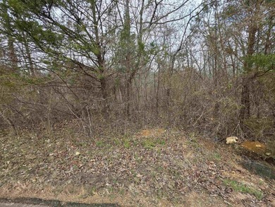 6 beautiful lots all right next to each other. 5 are on Summit - photo 21