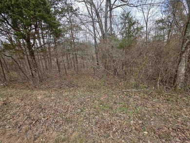 6 beautiful lots all right next to each other. 5 are on Summit - photo 24