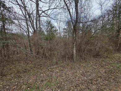 6 beautiful lots all right next to each other. 5 are on Summit - photo 26