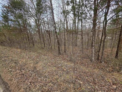 6 beautiful lots all right next to each other. 5 are on Summit - photo 27