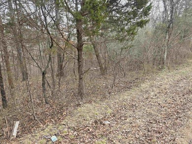 6 beautiful lots all right next to each other. 5 are on Summit - photo 28