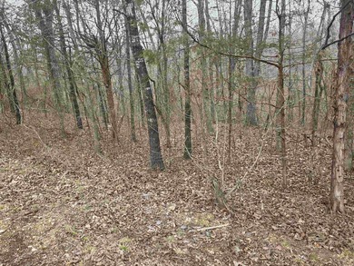 6 beautiful lots all right next to each other. 5 are on Summit - photo 29