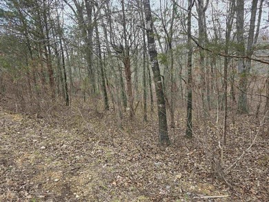 6 beautiful lots all right next to each other. 5 are on Summit - photo 30