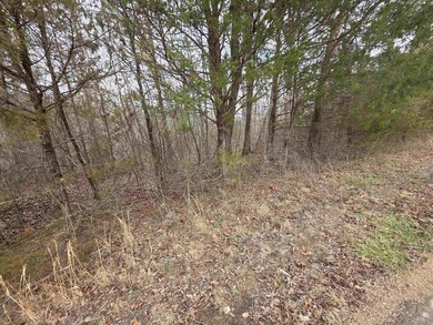 6 beautiful lots all right next to each other. 5 are on Summit - photo 32