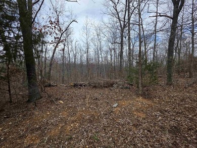 6 beautiful lots all right next to each other. 5 are on Summit - photo 33