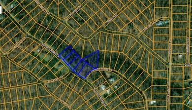 6 beautiful lots all right next to each other. 5 are on Summit - photo 36