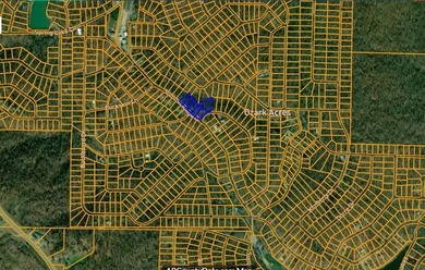6 beautiful lots all right next to each other. 5 are on Summit - photo 37
