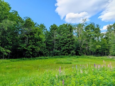 Welcome to this unique four-season cabin, rich in history - photo 50