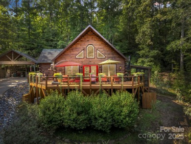 Lake Home For Sale in Lake Lure, North Carolina
