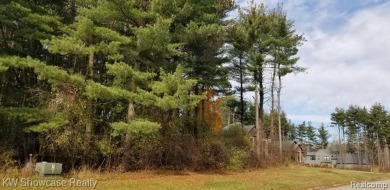 Bass Lake - Oakland County Lot For Sale in Commerce Twp Michigan