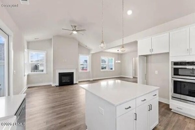 Welcome to the Madison Plan by Hunter Quinn Homes, a stunning - photo 9