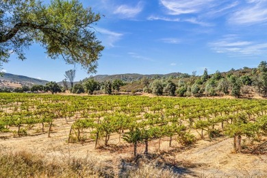 Welcome to Stonehouse Cellars Winery & Bed & Barrel, an - photo 7
