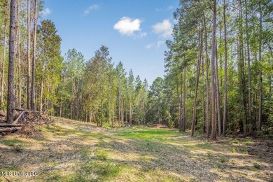 Hunting land for sale in Wilkinson County, MS bordering the - photo 12