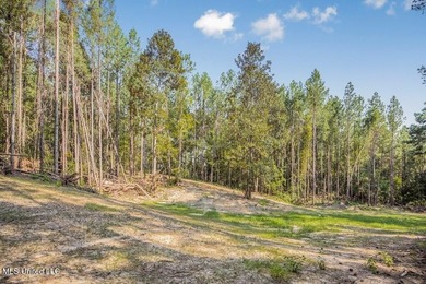 Hunting land for sale in Wilkinson County, MS bordering the - photo 13