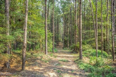 Hunting land for sale in Wilkinson County, MS bordering the - photo 14