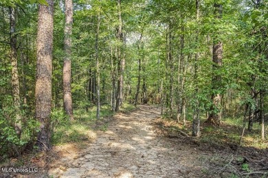 Hunting land for sale in Wilkinson County, MS bordering the - photo 15