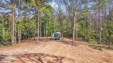 Hunting land for sale in Wilkinson County, MS bordering the - photo 19