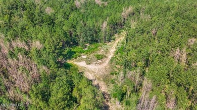 Hunting land for sale in Wilkinson County, MS bordering the - photo 21