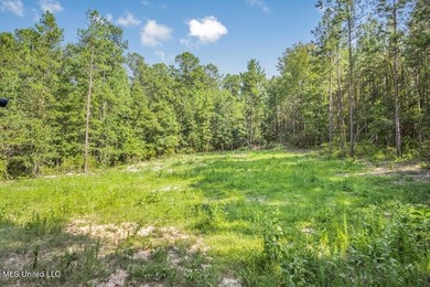 Hunting land for sale in Wilkinson County, MS bordering the - photo 22
