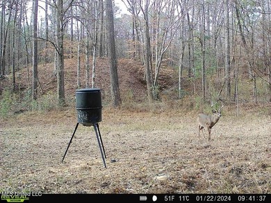 Hunting land for sale in Wilkinson County, MS bordering the - photo 24