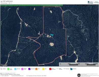 Hunting land for sale in Wilkinson County, MS bordering the - photo 29