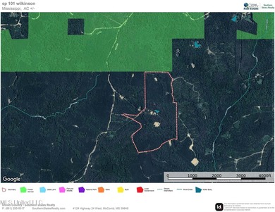 Hunting land for sale in Wilkinson County, MS bordering the - photo 30