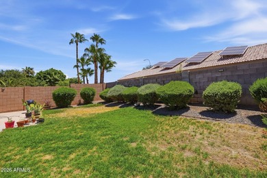 Brand new windows throughout set this Crystal Garden Lakes home - photo 33