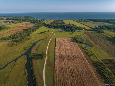 Behind a lush privet hedge, this expansive 102+ acre waterside - photo 2