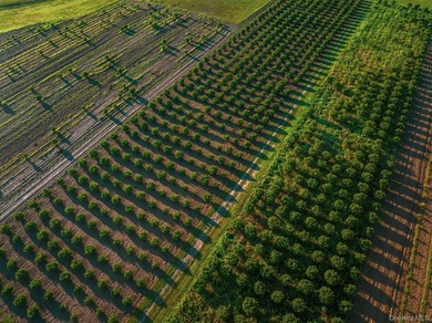 Behind a lush privet hedge, this expansive 102+ acre waterside - photo 3